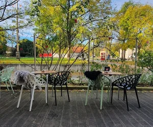 frühstückslokale in Laim München