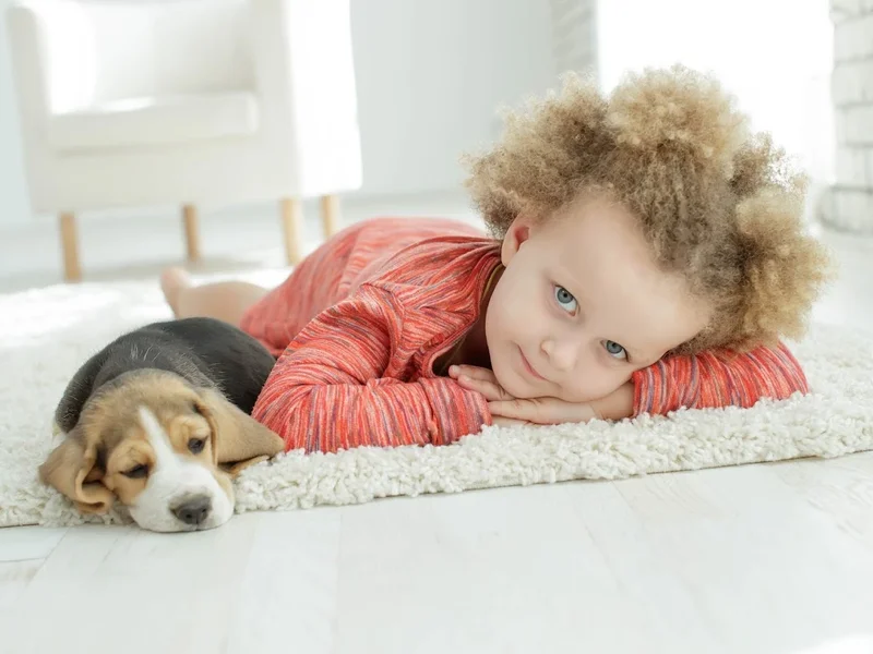 easyclean24 l mobile Teppich-, Polster- & Gardinenreinigung