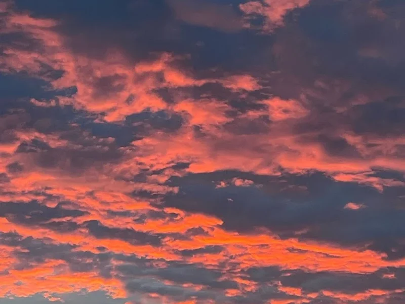 SGC - Stilgeflüster GmbH