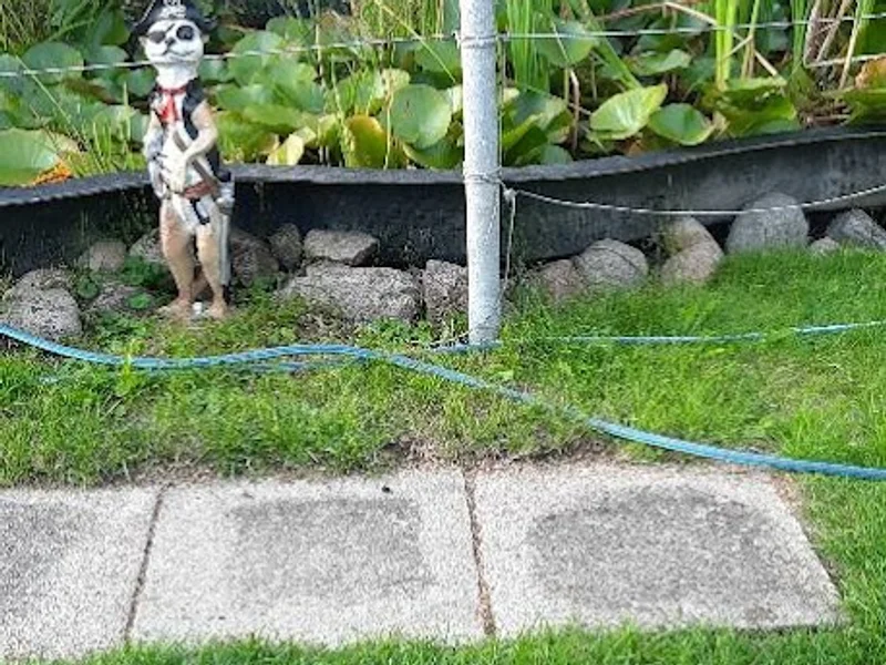 Kleingartenverein Brummerkaten 1920 e.V.