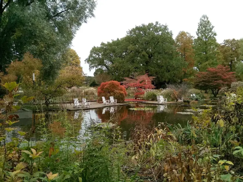 BUND Naturerlebnisgarten (im Wilhelmsburger Inselpark)