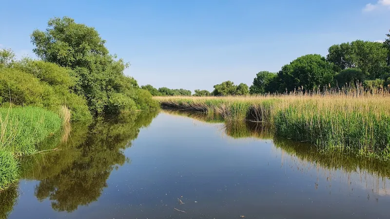 Naturschutzgebiet Heuckenlock