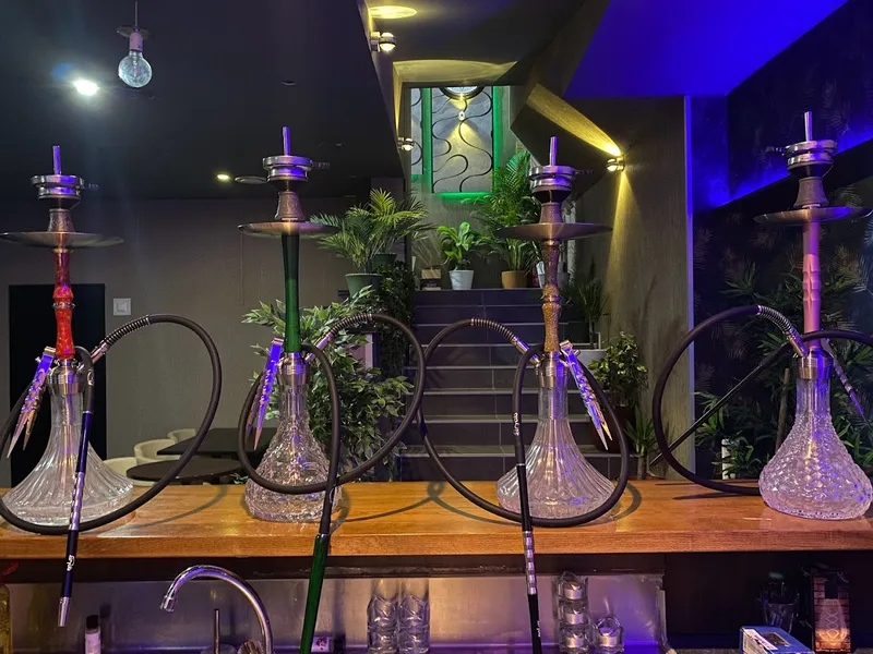 Lotus lounge