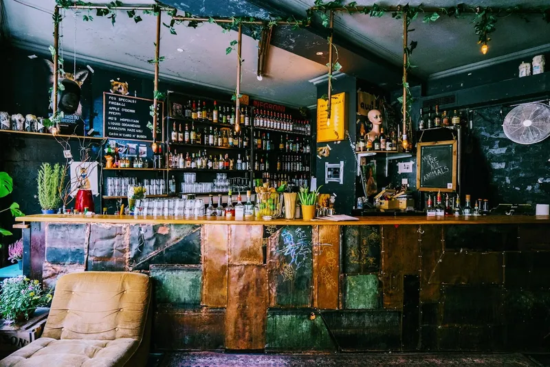 Fox Bar