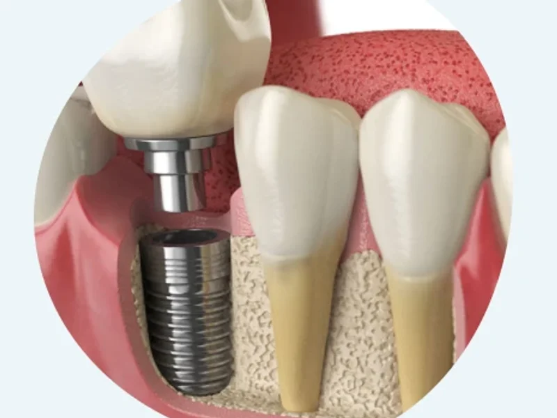 Dr. med. dent. Indra Nyamaa, Zahnarzt