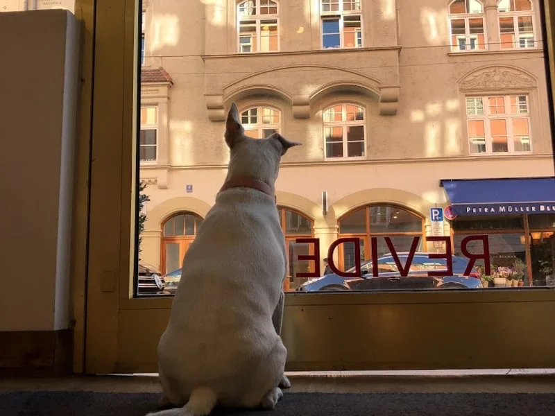 Königstöchter Schönheitszentrum