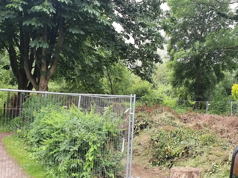 Twisselwisch Kleingarten