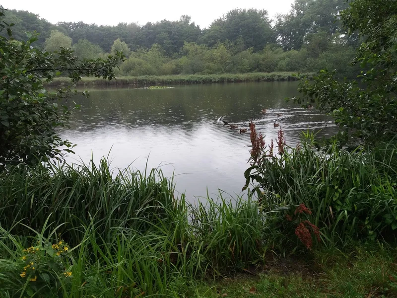 Kleingartenverein Fasanenmoor 460 e.V.