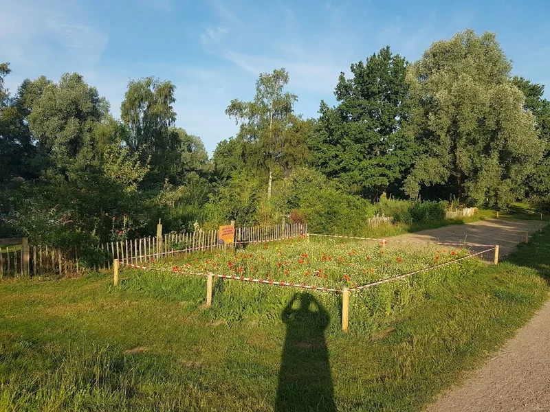 InPeLa Stadtteilgarten