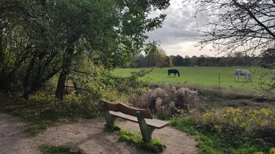 Liste 10 gärten in Niendorf Hamburg