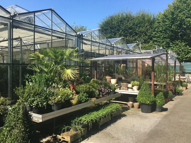 Blumen Tomfort Verkaufsgärtnerei Pflanzen-Überwinterunsgservice