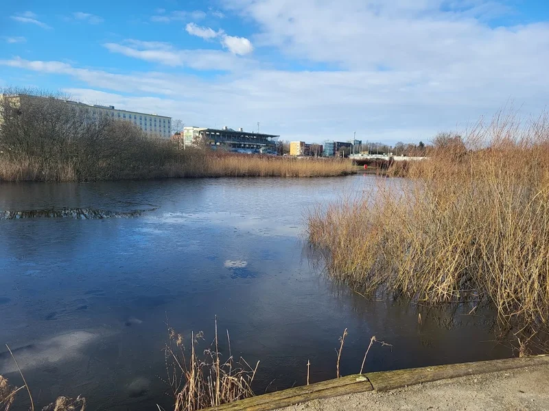 Freizeitpark Horner Rennbahn