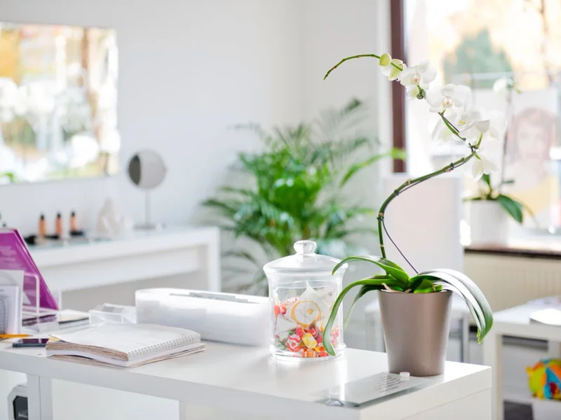 Signorina Kosmetikstudio