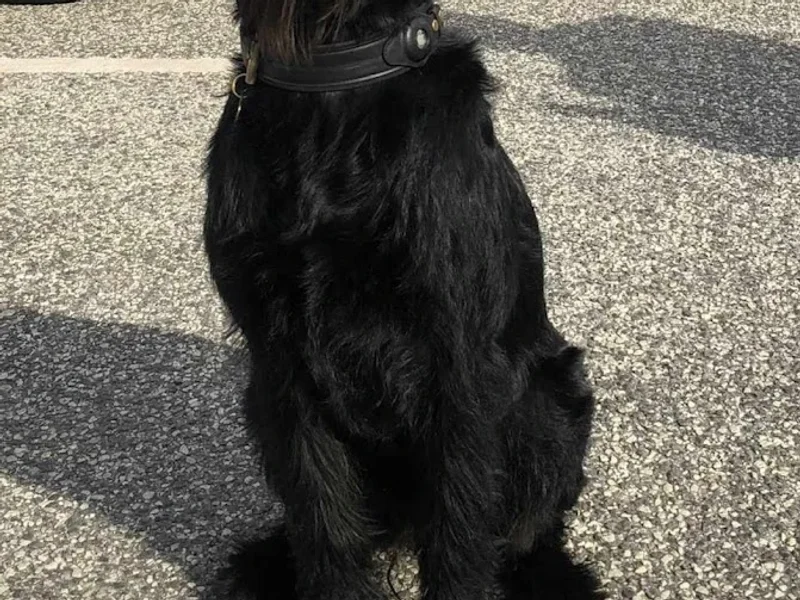 Café Coffeine Hamburg Ottensen