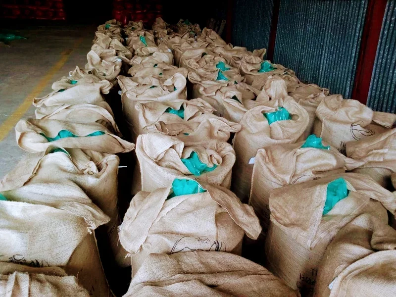 El Rojito Café Ottensen