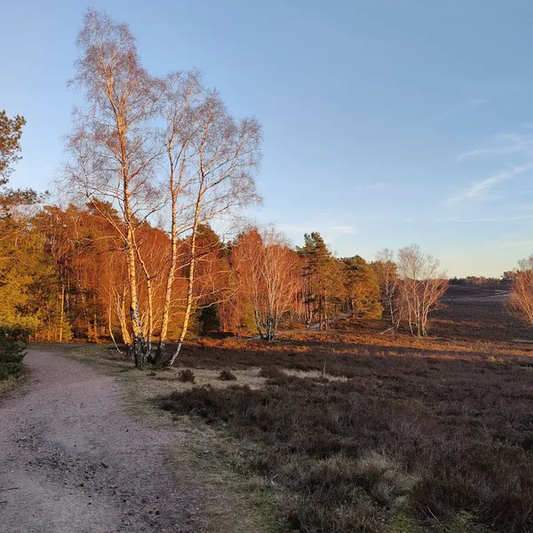 Fischbeker Heide Parkplatz 2