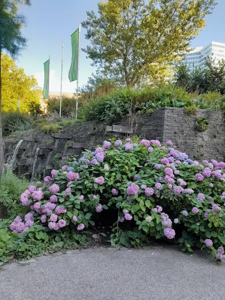 Alter Botanischer Garten