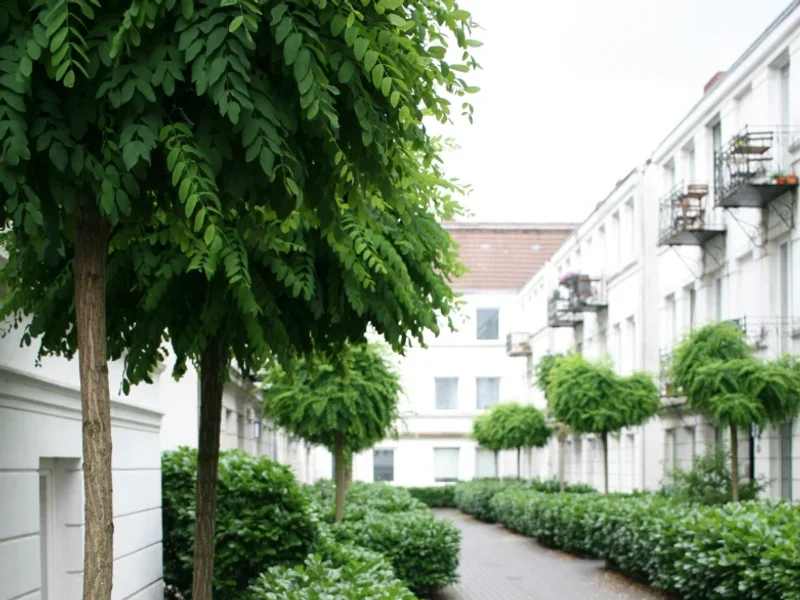 Angelique Rode B.Sc. Psychologie, Heilpraktiker für Psychotherapie