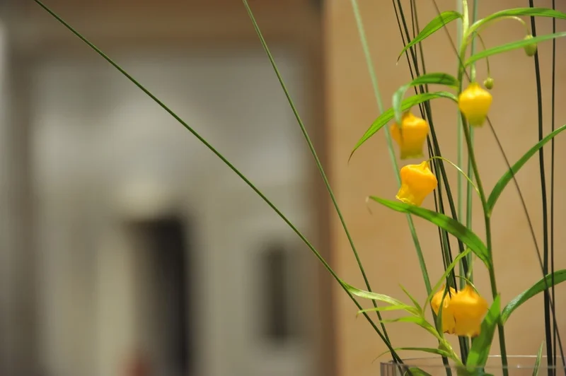 Dr. med. dent. Stefan Peter Matzdorff, Zahnarzt