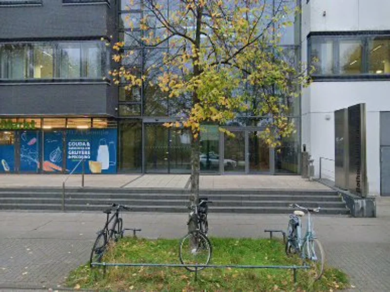 Prof. Dr. med. dent Klaus Roth