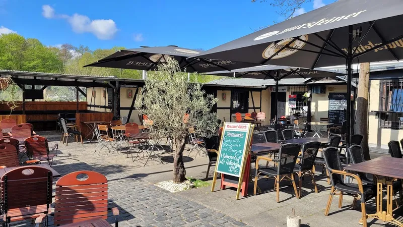 Biergarten Kletterrose