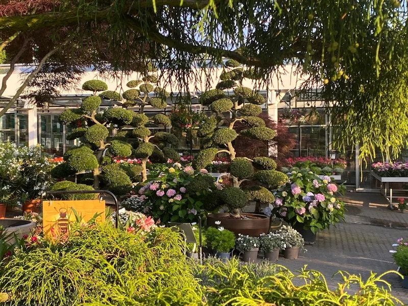 Pflanzen Mohr - Baumschule | Gartencenter | Gartengestaltung