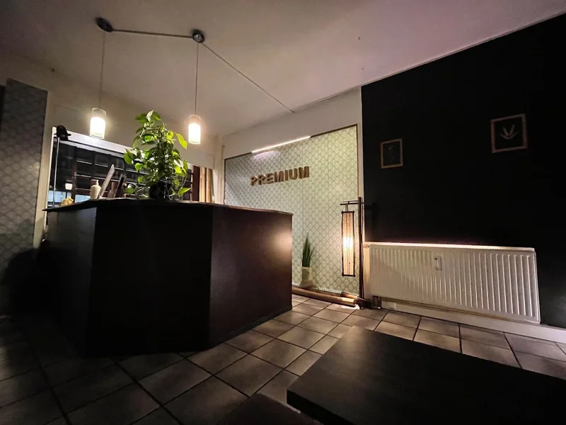 the tree - Massage Lounge