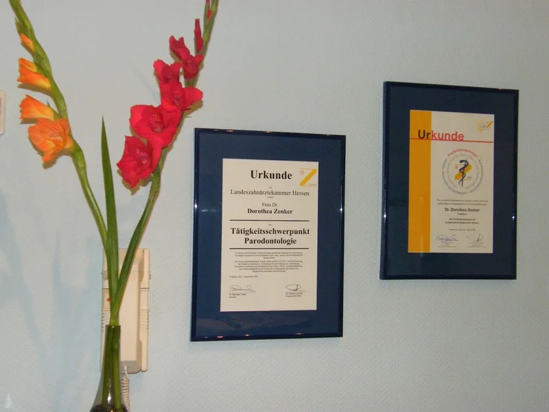 Frau Dr. med. dent. Dorothea Zenker
