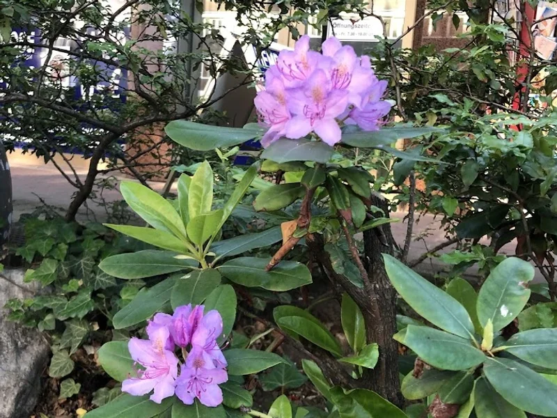 Textilpflege Elegant