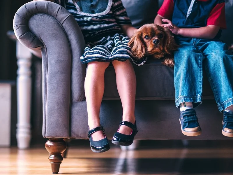 Lale - Teppich & Polsterreinigung