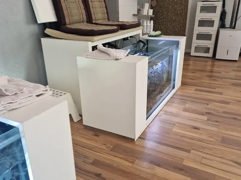 Silver Tiger Spa Cologne