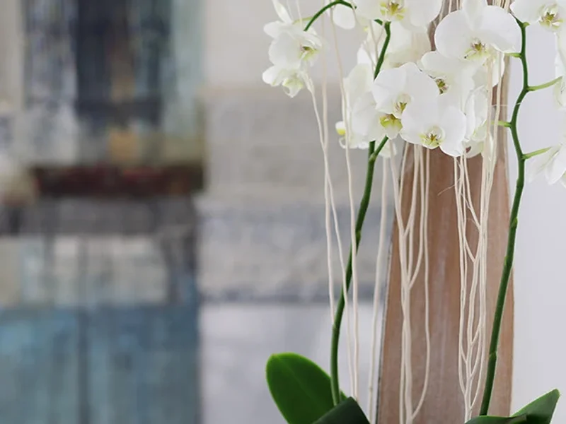 Nautilus-Praxis - Frankfurt Niederrad / Sachsenhausen