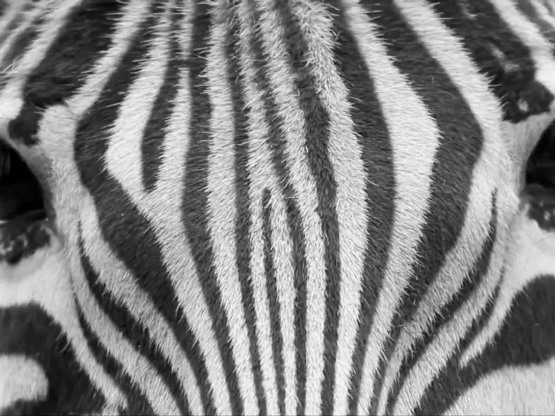 farbenkollektiv Kreativagentur GmbH