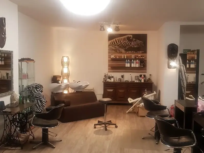 Haarsafari Friseur Meisterbetrieb