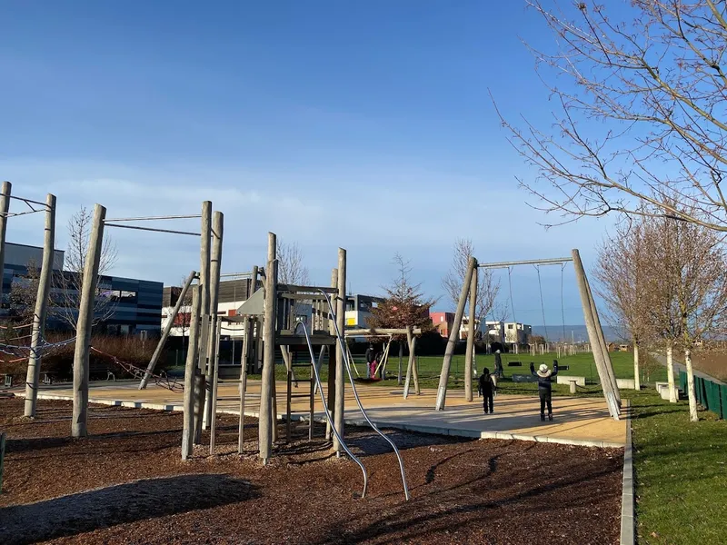 Spinnen-Spielplatz