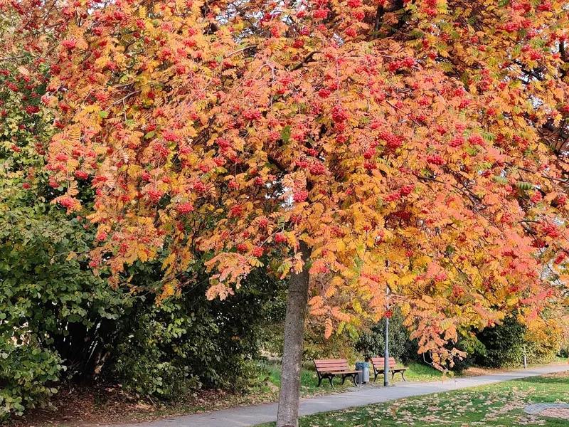 Spielplatz am Bonifatiuspark