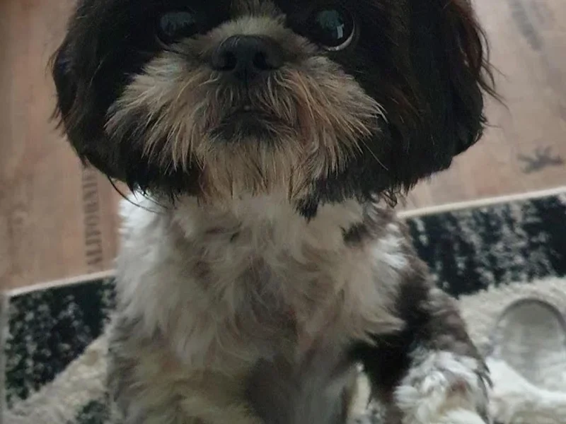 Fußpflege Mara Sauer - Zeigt her Eure Füsse