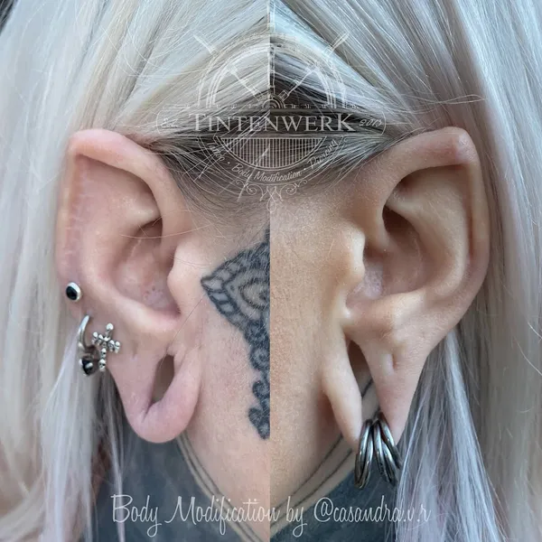 TINTENWERK - Piercing | Body Modification