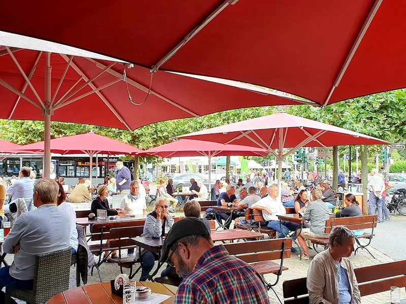 Fuchs am Klemensplatz