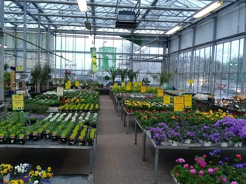 Korfy's Pflanzenwelt