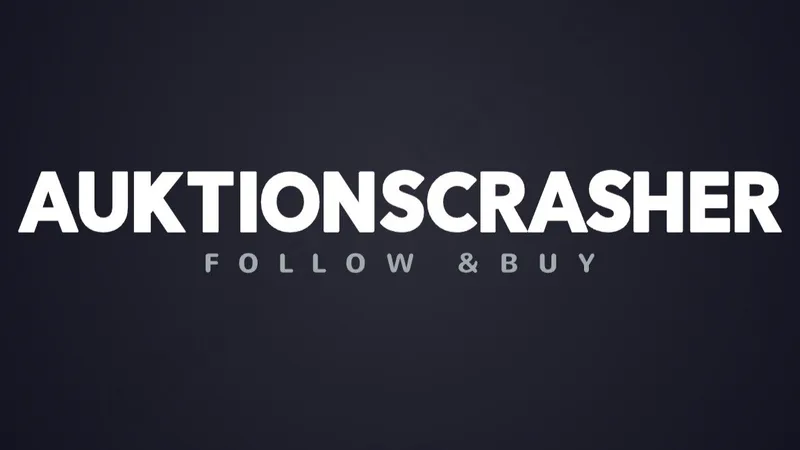 Auktionscrasher