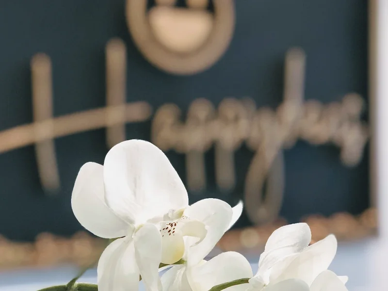 Happydens - Zahnarztpraxis Dr. Vali