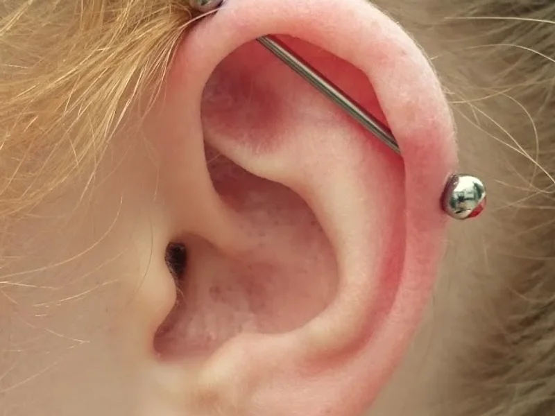 LIVING ILLUSTRATIONS Tattoo & Piercing Atelier