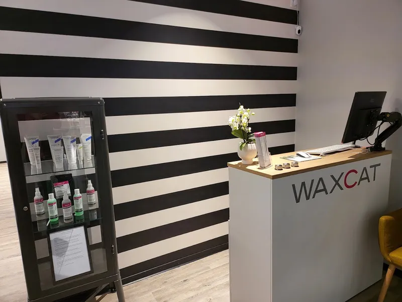 Waxcat - Waxing - Brow Bar Düsseldorf