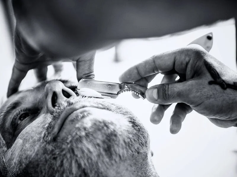 Jack the Ripper Tattoo&Barbershop