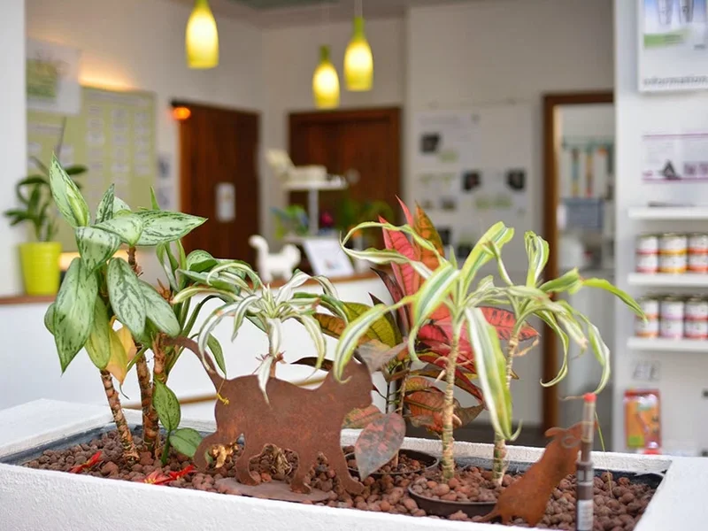 Tierarztpraxis Dr. Bendel