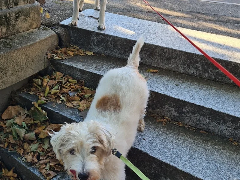 Dr.med.vet. Gerald Westphal Tierarzt