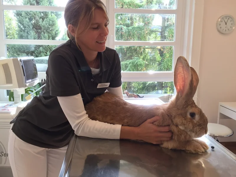 Tierarztpraxis Dr. Schröer