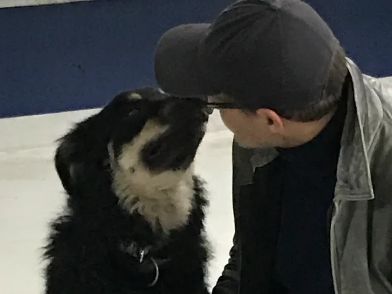 Trainer ›Schwierige Hunde‹