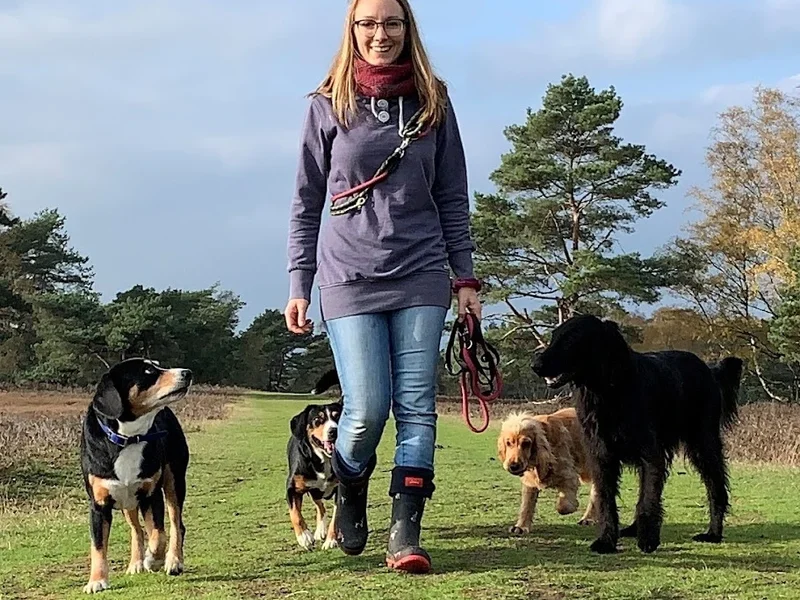 Köterliebe - Hundetraining und Verhaltensberatung